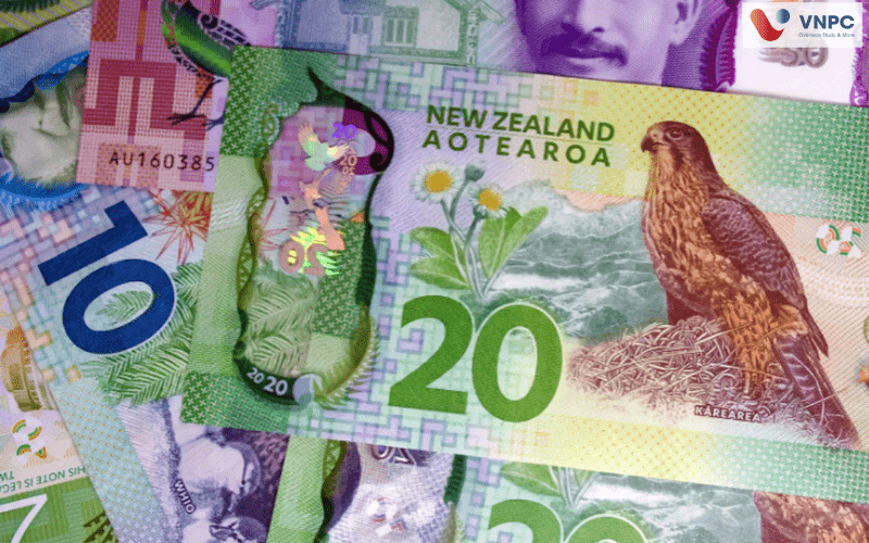 Du học THPT New Zealand